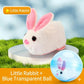 📢📢40% OFF !! ⏰💞50K+ SOLD! 💖🐱Self-Rolling Interactive Cat Ball