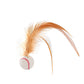🔥2026 HOT SALE🐱 Interactive Cat Bouncy Ball with Feather