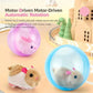 📢📢40% OFF !! ⏰💞50K+ SOLD! 💖🐱Self-Rolling Interactive Cat Ball
