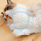 🔥2026 HOT SALE🐱 Interactive Cat Bouncy Ball with Feather