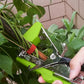 🔥2025 HOT SALE🔥Garden Bundled Branch Tool