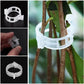 💥2026 Hot Sale 49% OFF💥 Secured Plastic Plant Clip（BUY 1 GET 1 FREE）