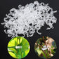 💥2026 Hot Sale 49% OFF💥 Secured Plastic Plant Clip（BUY 1 GET 1 FREE）