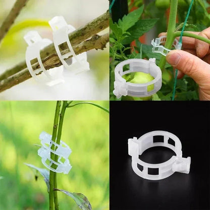 💥2026 Hot Sale 49% OFF💥 Secured Plastic Plant Clip（BUY 1 GET 1 FREE）