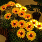 🌻☀️ LIMITED-TIME OFF! 3-Head Solar Sunflower Garden Light – Realistic Petals, IP65 Weather Resistance & Warm White Glow ✨