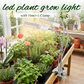 🌱 60% OFF NOW! 💡 LED Plant Grow Light with Timer & Clamp – Full Spectrum, Adjustable Gooseneck & Easy Setup 🌿