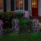 🥳2026 HOT SALE🥳💞50K+ SOLD!💥✨🌙 50% OFF! Solar Garden Lights – Creates warm, inviting glow for patios & yards. 8-10hrs illumination after full charge. Easy install, weatherproof. A beautiful touch to any outdoor space. 🏠💫