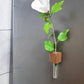 Magnetic Wooden Vase with Test Tube