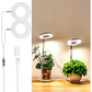 LED Angel Ring Plant Grow Light