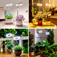LED Angel Ring Plant Grow Light
