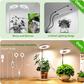 LED Angel Ring Plant Grow Light