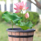 Round Resin Barrel Planter for Garden