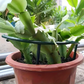 📢📢50% OFF !! ⏰Interlocking Planting Grow Rings