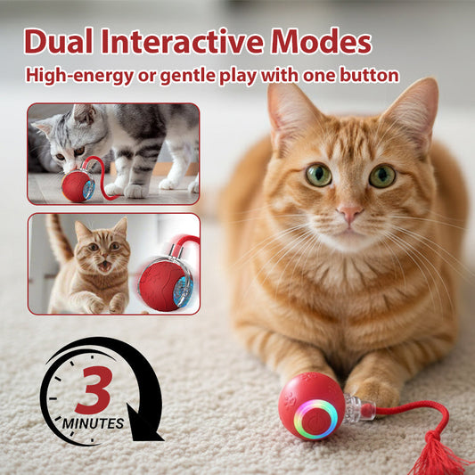 Interactive Cat Toy Ball