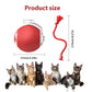 Interactive Cat Toy Ball