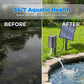 🎁2026 New Arrivals 50% OFF💥Solar Pond Aerator with Air Pump – Solar Powered, High-Efficiency Panel & Easy Installation – Promotes Healthy Fish & Clear Water 🐟