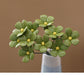 🥳 50% OFF! 🥳 Everlasting Ceramic Floral Decoration