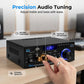 ⏰🔥LIMITED TIME 50% OFF!🔥Digital Amplifier for Karaoke and Music