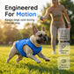 📢📢40% OFF !! ⏰🐶🐱❄️Cooling Dog Vest