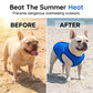 📢📢40% OFF !! ⏰🐶🐱❄️Cooling Dog Vest