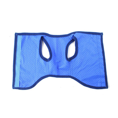 📢📢40% OFF !! ⏰🐶🐱❄️Cooling Dog Vest