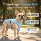 🐶 50% OFF NOW! ☀️ Dog Cooling Vest Harness – Ice-silk fabric & adjustable – Keeps your pet cool in summer – perfect for walks, beach or travel 🐾🌊✨