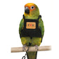 ☁️Breathable Pet Bird Harness Vest