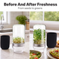 Glass Sprouting Jar Kit with Blackout Sleeve