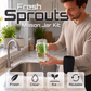 Glass Sprouting Jar Kit with Blackout Sleeve