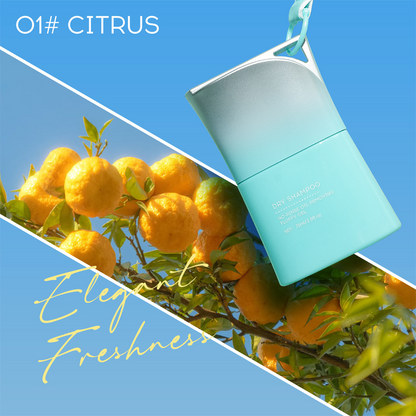 ⏳Limited-time 50% off⏰No-Rinse Dry Shampoo Gel with Built-In Comb🧴🫧