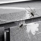 🎉🕷️ Realistic Spider Magnets – Trick or Treat Your Fridge, Garage & Car — Halloween Fun All Year! 🏠