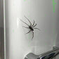 🎉🕷️ Realistic Spider Magnets – Trick or Treat Your Fridge, Garage & Car — Halloween Fun All Year! 🏠