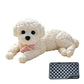 📢📢50% OFF !! ⏰Cute Squishy Teddy Dog Stress Relief Toy
