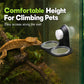 🦎 LIMITED-TIME 50% OFF! 💧 Double Reptile Feeding Ledge with Bowls – Stable Mount, Easy Clean ✨