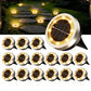 🌞🌷4-Pack Outdoor Garden Solar Ground Lights | 8-LED Auto On/Off Weather-Resistant Pathway Landscape Light⚡