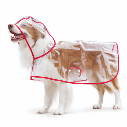 📢New Arrivals 50% OFF🐕 Transparent Waterproof Dog Raincoat – Keep Your Pup Dry & Visible on Rainy Walks 🌧️